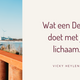 Mijn 10 dagen detox reis in een notendop